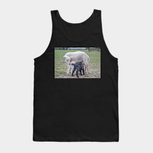 Mom and baby goats Tank Top